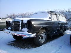 Leiche mit (Heck-) Flossen