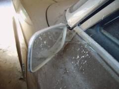 Dornr&ouml;schenschlaf