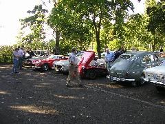 Ausschnitt des gro&szlig;en Teilnehmerfelds