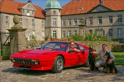 ... halte bitte die Hunde fest !